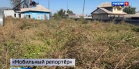 «Мобильный репортёр»: заросший участок может быть опасен - Вести Хакасия