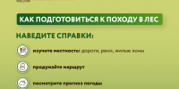 Как подготовиться к походу в лес - Рузский городской округ