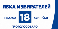 Беспрецедентная явка зафиксирована в первый день ЕДГ-2026 в Воронежской области - Bloknot-Voronezh.Ru