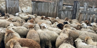 Фото: пресс-служба УФСБ России по Ставропольскому краю - Sk-News.Ru