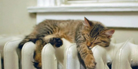 «Горячая линия» по вопросам теплоснабжения пройдет в Нижнем Новгороде - ИА Нижний сейчас