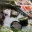 Заполярные предприятия представляют наш край на международной выставке Seafood Expo Russia - Мурманский вестник