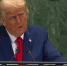 Трамп подписал закон, позволяющий вводить новые санкции против РФ - Spbdnevnik.ru