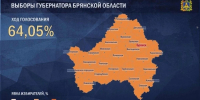 Высокая явка в Брянской области из-за совмещения выборов - Сетевое издание Новости Брянска