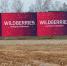 РБК: Wildberries перечислит полную компенсацию селлерам с ущербом до 0,5 млн - ИА Татар-информ