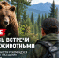 Дикие животные выходят к людям: жителям Кузбасса напоминают правила безопасности - МЧС России