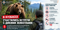 Дикие животные выходят к людям: жителям Кузбасса напоминают правила безопасности - МЧС России