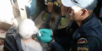 В Астрахани пенсионерка провалилась в глубокий погреб - Сетевое издание Арбуз