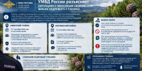 Сахалинцам разъяснили правила сбора шишек кедрового стланика - News.Astv.Ru
