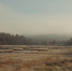 туман утром над рекой - ИА Nord-News.Ru