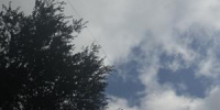 В Ростовской области отразили ночную атаку БПЛА - DonDay-Taganrog.Ru