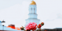 лето_саратов_роза - Novosti-Saratova.Ru