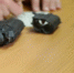 Фото: Росгвардия Вологодской области - Вологда-поиск