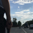 Проверка на федеральной трассе. Найден труп мужчины - КТВ-ЛУЧ