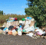 В Козловке мусорные контейнеры "утонули" в куче отходов - Balashover.Ru