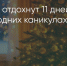 Поделитья во ВКонтакте - Братская Студия Телевидения