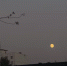 Около десятка БПЛА уничтожили минувшей ночью в Ростовской области - DonDay.Ru