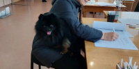 Более четверти избирателей Коми проголосовали к началу второго дня выборов - Pg11.Ru