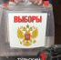 Как тулякам проголосовать на выборах в Госдуму на дому - ТК Первый Тульский