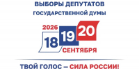 Явка на выборы в Ростовской области превысила 25% - Газета Вперёд