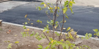 В Калуге продолжается комплексное благоустройство улицы Чичерина - Городская управа