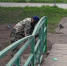 В преображении городских территорий будем двигаться поэтапно - Газета Великолукская правда