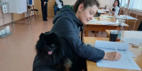 Выборы в Госдуму: в Коми начался второй день голосования, явка превысила 25% - Газета Княжпогостские вести