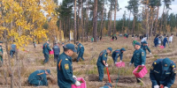 Сотрудники МЧС России приняли участие во всероссийской акции В«Сохраним лесВ» - GazetaHot.Ru