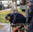 В Белгороде на улице Корочанской ремонтируют водопровод - БелПресса