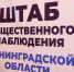 Штаб общественного наблюдения Ленобласти подвел промежуточные итоги двух дней голосования - Spbdnevnik.ru