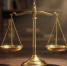 Липецкий суд рассмотрит иск к владимирскому племенному заводу на 539,7 млн рублей - ГТРК Владимир
