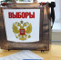 101-летняя жительница Нижегородской области проголосовала на выборах - фото 1 - vGorodeN.Ru