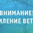 Усиление ветра - Мезенский район