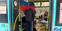 Фото со страницы ТК «Рико» ВКонтакте - News29.Ru