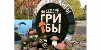 Грибной фестиваль в Мурманске: конкурс костюмов, фудкорты и мастер-классы на Воровского - Вечерний Мурманск