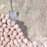 ГУ МЧС России по Калужской области - Kaluga-Poisk.Ru
