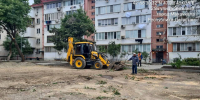 В Махачкале коммунальные службы расчистили улицы от порубочных остатков после спила деревьев - Махачкалинские известия