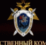 Следственный комитет проверит обстоятельства наезда на ребенка - NgRegion.Ru