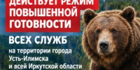 Режим повышенной готовности в связи с участившимися выходами медведей к населённым пунктам - Ilim24.Ru