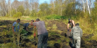 Около 500 тысяч деревьев высадят в лесах Алтайского края этой осенью - Газета Бийский рабочий
