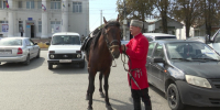Выборы верхом: кубанские казаки голосуют в станице Гостагаевской - ТРК Анапа Регион