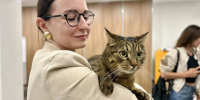 Кот Тони заступил на дежурство на курском избирательном участке - Городские Известия