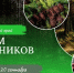 Поздравление Министра природных ресурсов и экологии Алтайского края с Днем работников леса и лесоперерабатывающей промышленности - Минприроды Алтайского края