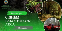 Поздравление Министра природных ресурсов и экологии Алтайского края с Днем работников леса и лесоперерабатывающей промышленности - Минприроды Алтайского края