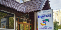 Конфликт с дзюдоистами в школе Борец - Solncewonews.ru