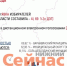 41,69% нижегородцев проголосовали на 20:00 19 сентября - ИА Нижний сейчас
