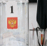 Явка на выборах в Белгородской области достигла 53,79 % - БелПресса