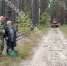 Липецкие пожарные нашли заблудившуюся женщину в лесу! - Allelets.Ru