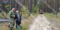 Липецкие пожарные нашли заблудившуюся женщину в лесу! - Allelets.Ru