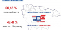 Объявлена итоговая явка по результатам двух дней голосования в Воронежской области - Bloknot-Voronezh.Ru